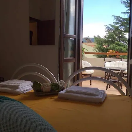 Mideri * Urzulei